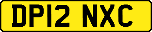 DP12NXC
