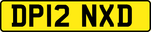DP12NXD