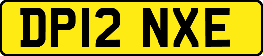 DP12NXE