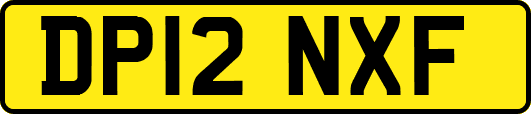 DP12NXF
