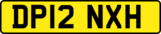 DP12NXH