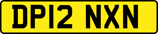DP12NXN