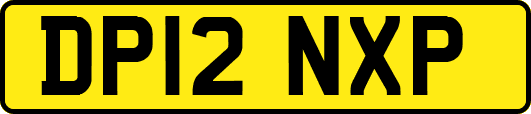 DP12NXP