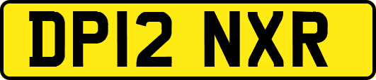DP12NXR
