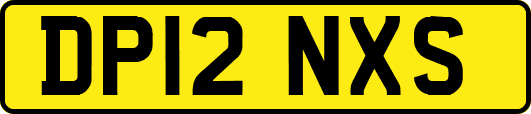 DP12NXS