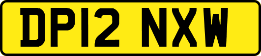 DP12NXW