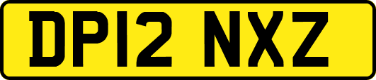DP12NXZ