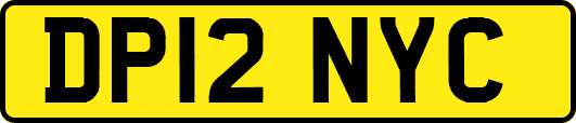 DP12NYC