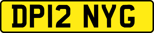DP12NYG