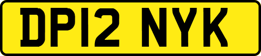 DP12NYK
