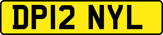 DP12NYL