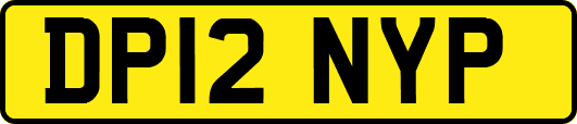 DP12NYP