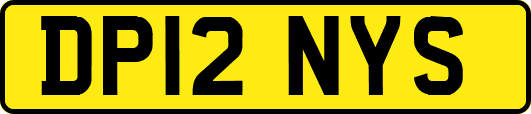 DP12NYS