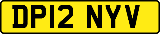 DP12NYV