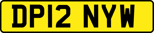 DP12NYW
