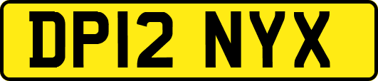 DP12NYX