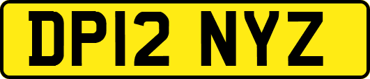 DP12NYZ