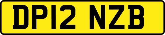 DP12NZB