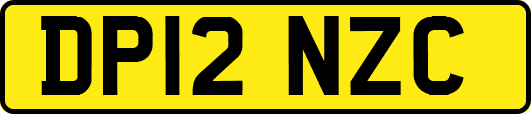 DP12NZC