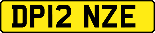 DP12NZE