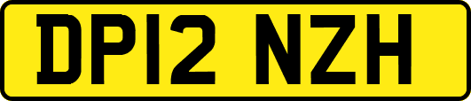DP12NZH