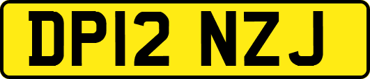DP12NZJ