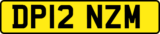 DP12NZM