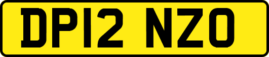 DP12NZO
