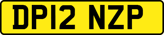 DP12NZP