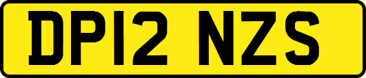 DP12NZS