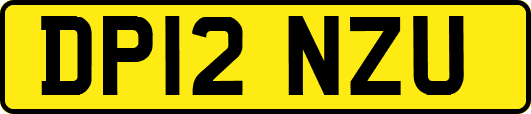 DP12NZU