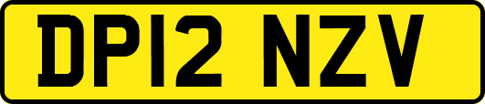DP12NZV