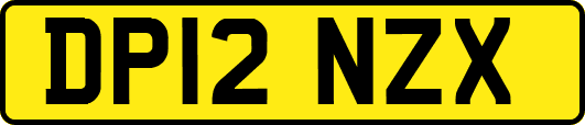 DP12NZX