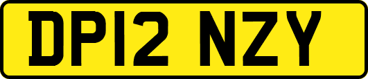 DP12NZY
