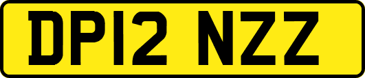 DP12NZZ