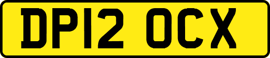 DP12OCX