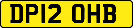 DP12OHB