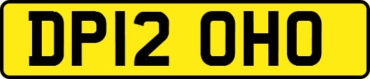 DP12OHO