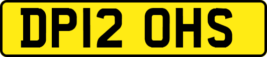 DP12OHS