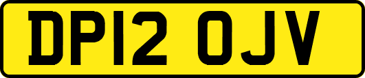 DP12OJV