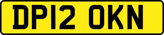 DP12OKN