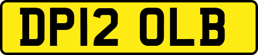 DP12OLB