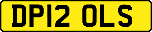 DP12OLS