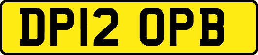 DP12OPB