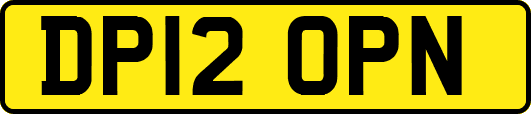 DP12OPN