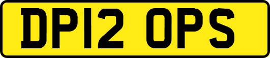 DP12OPS