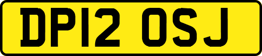 DP12OSJ