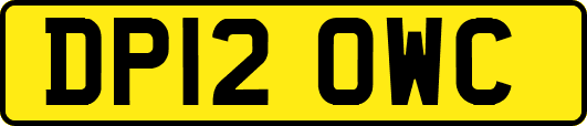 DP12OWC