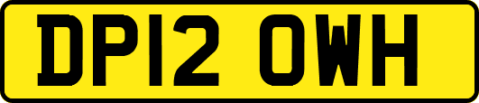 DP12OWH