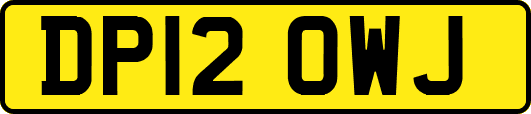 DP12OWJ